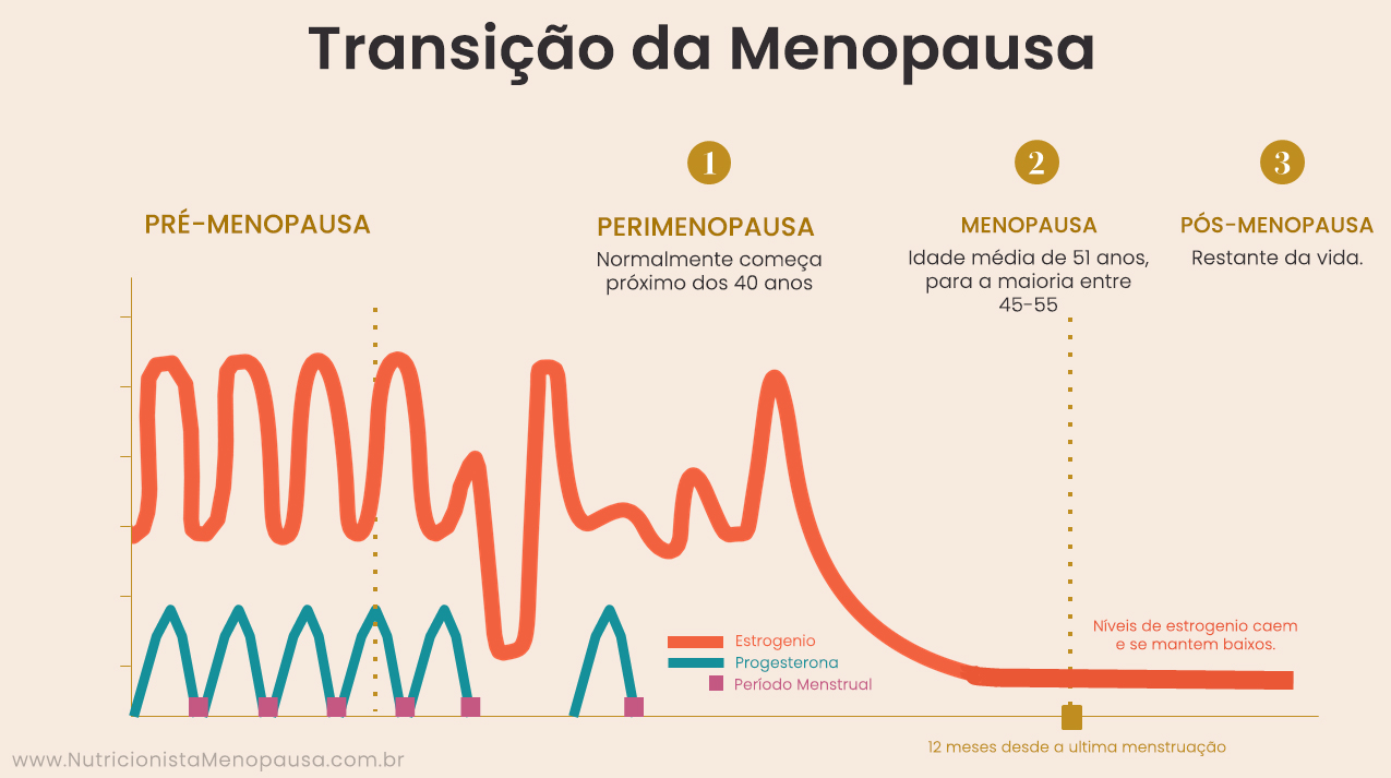Guia sobre FSH na Menopausa | Dr. Bruno Rodrigo